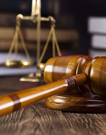 portfolio6 portfolio6